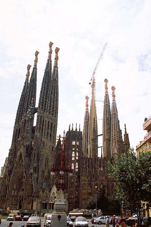 「別府で見つける！ペット可賃貸物件の選び方とおすすめエリア完全ガイド」