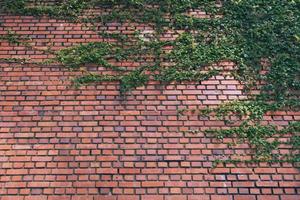 確かな経験と実績が確実な結果を生む