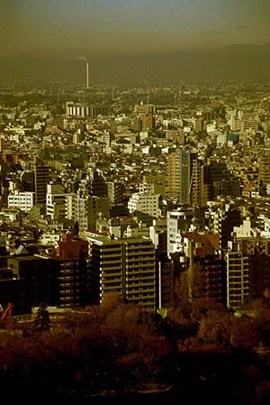 再建築不可物件を専門に扱う業者