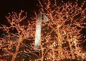 防災機能が特徴的な香川の一戸建て