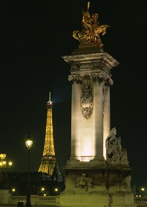 建築のプロによるインスペクションが可能