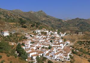 物件が豊富な不動産会社になりあｍす