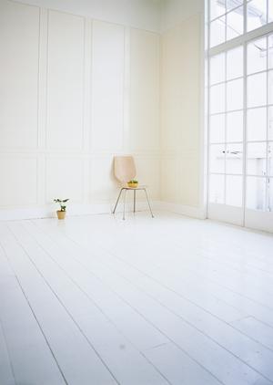 2026年版：別府で見つかる！ペット可賃貸の最新おすすめ物件ガイド